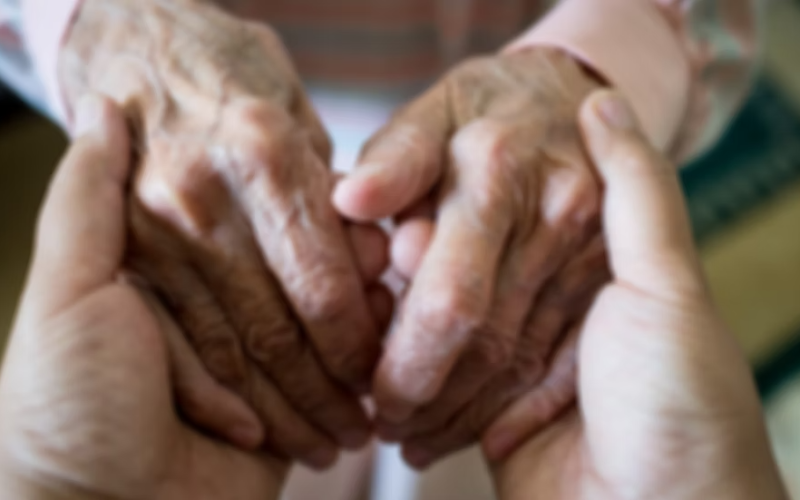 8965ae_ef7c3775197c4b6680b5cc9ff426e934_mv2